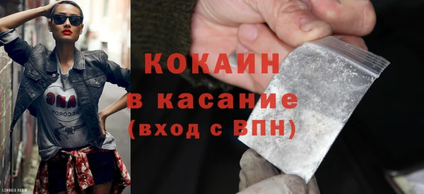дмт Бородино
