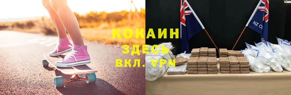 крисы Бронницы