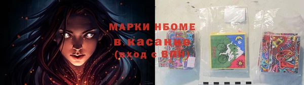 дмт Бородино