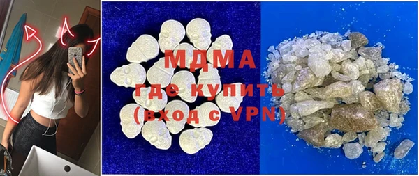 дмт Бородино