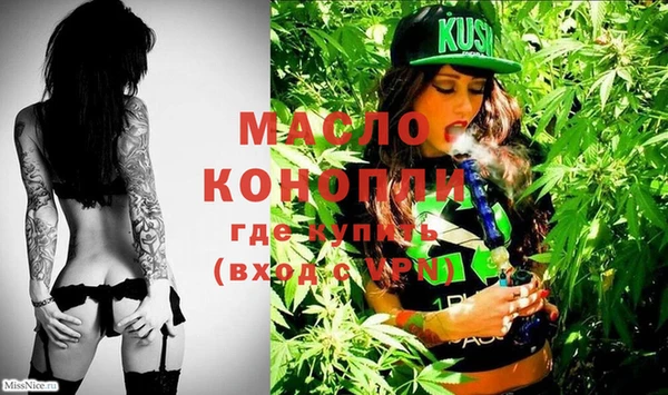 дмт Бородино