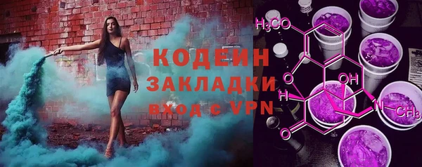 дмт Бородино