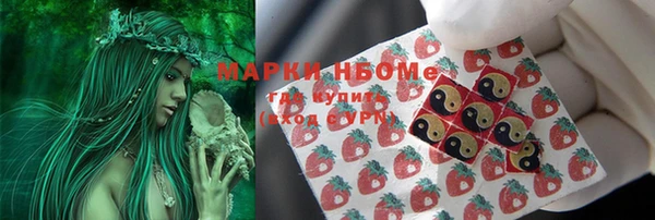 дмт Бородино