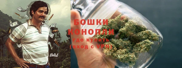 дмт Бородино