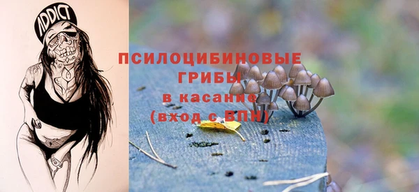 дмт Бородино