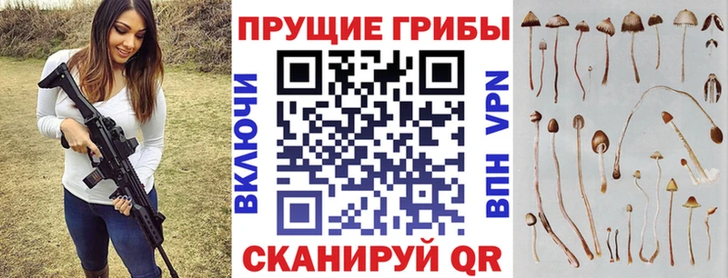 Псилоцибиновые грибы мухоморы  ссылка на мегу зеркало  Динская 